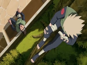 of9SJDTmKwoyBGhhbJWQqo1QtKV